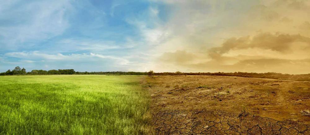 green-bonds-climate-change-banner