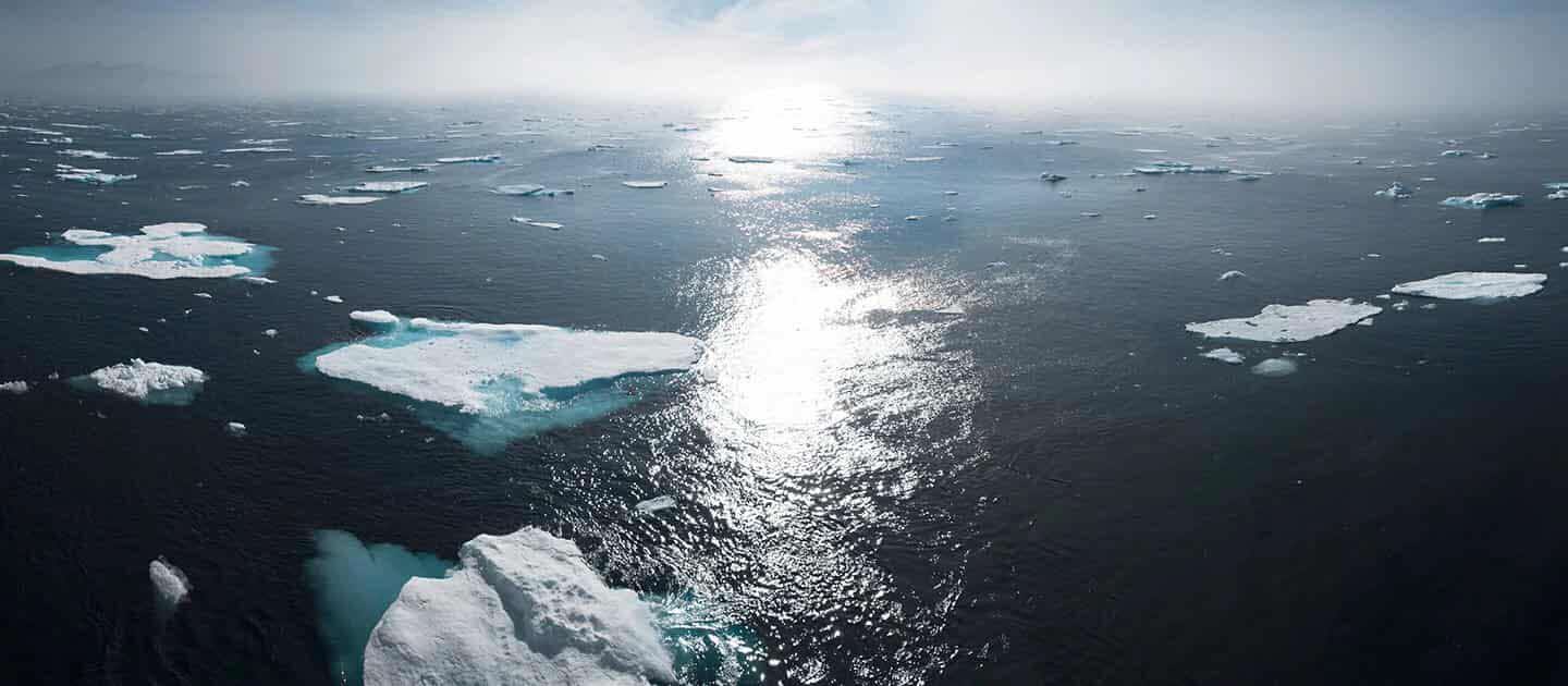 fighting-climate-change