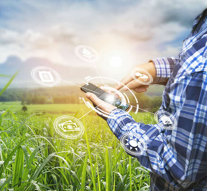 5 emerging opportunities for Indonesia's consumer market