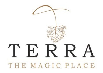 Terra礼遇